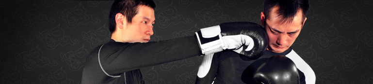 San Shou and Self-Defense Program