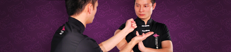 Wing Chun Kung Fu